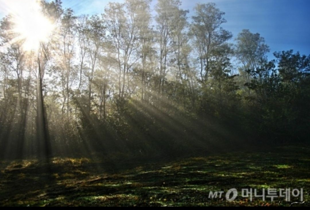 아침형 반대.png