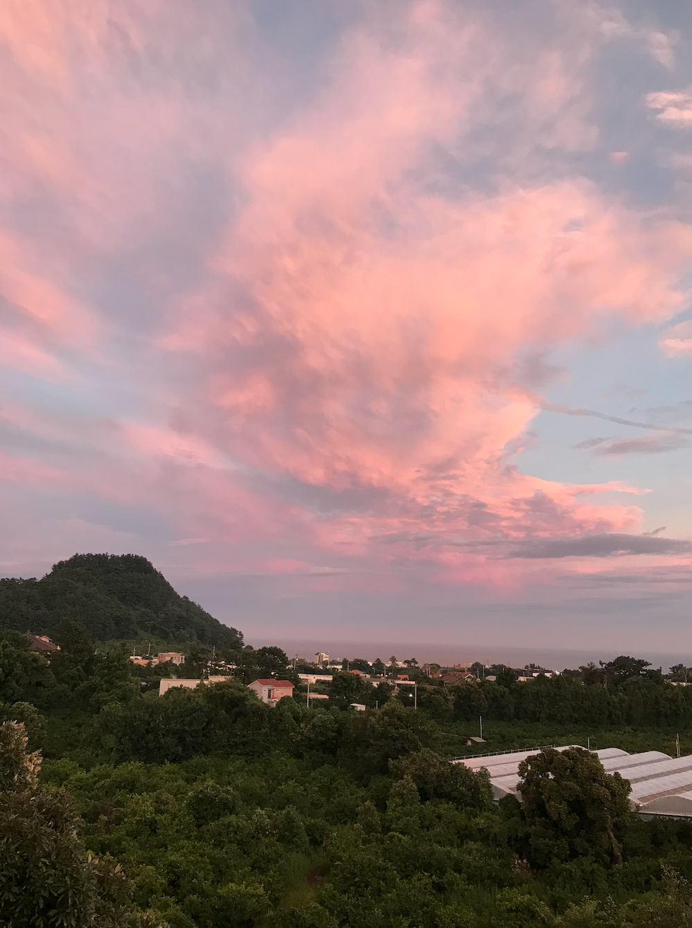 스크린샷 2019-05-02 오전 12.02.35.png