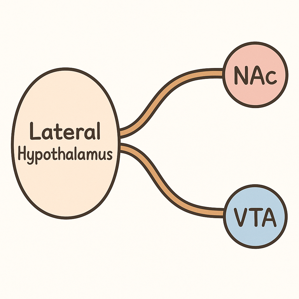 ChatGPT Image 2025년 6월 19일 오후 01_45_31.png