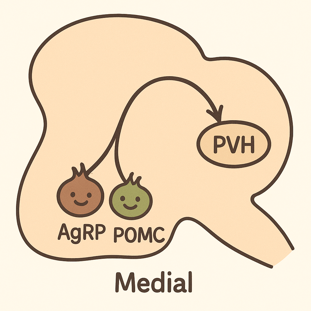 ChatGPT Image 2025년 6월 19일 오후 01_22_01.png