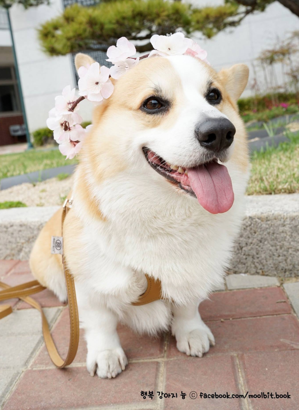 스크린샷 2018-04-03 오전 8.43.18.png