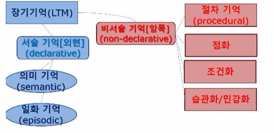 스콰이어 기억모형.png
