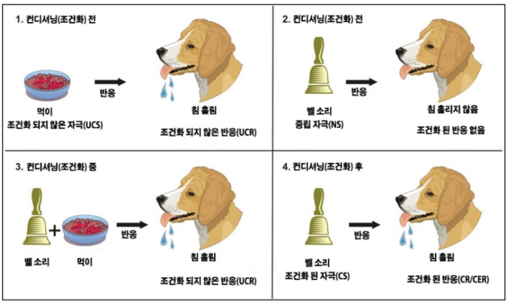 파블로프의 개.png