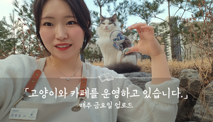 고양이와 카페를 운영하고 있습니다..png