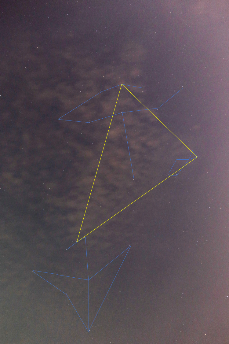 여름 별자리.png