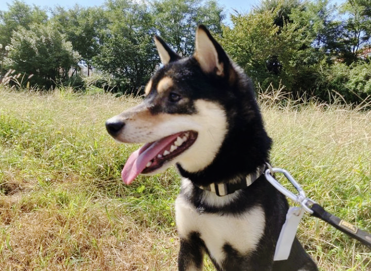 9월_친구들의여름나기 (2).png