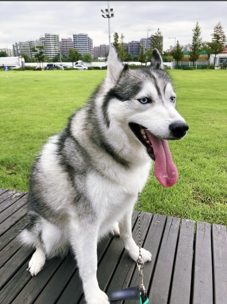 9월_친구들의여름나기 (4).png