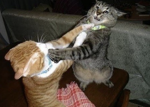 화면 캡처 2023-05-15 144014.png