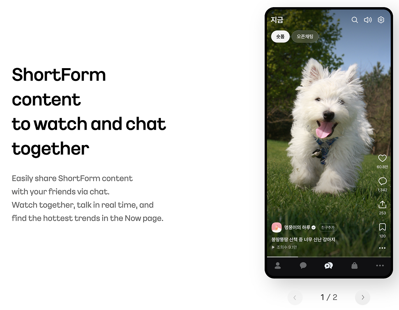 숏폼.png