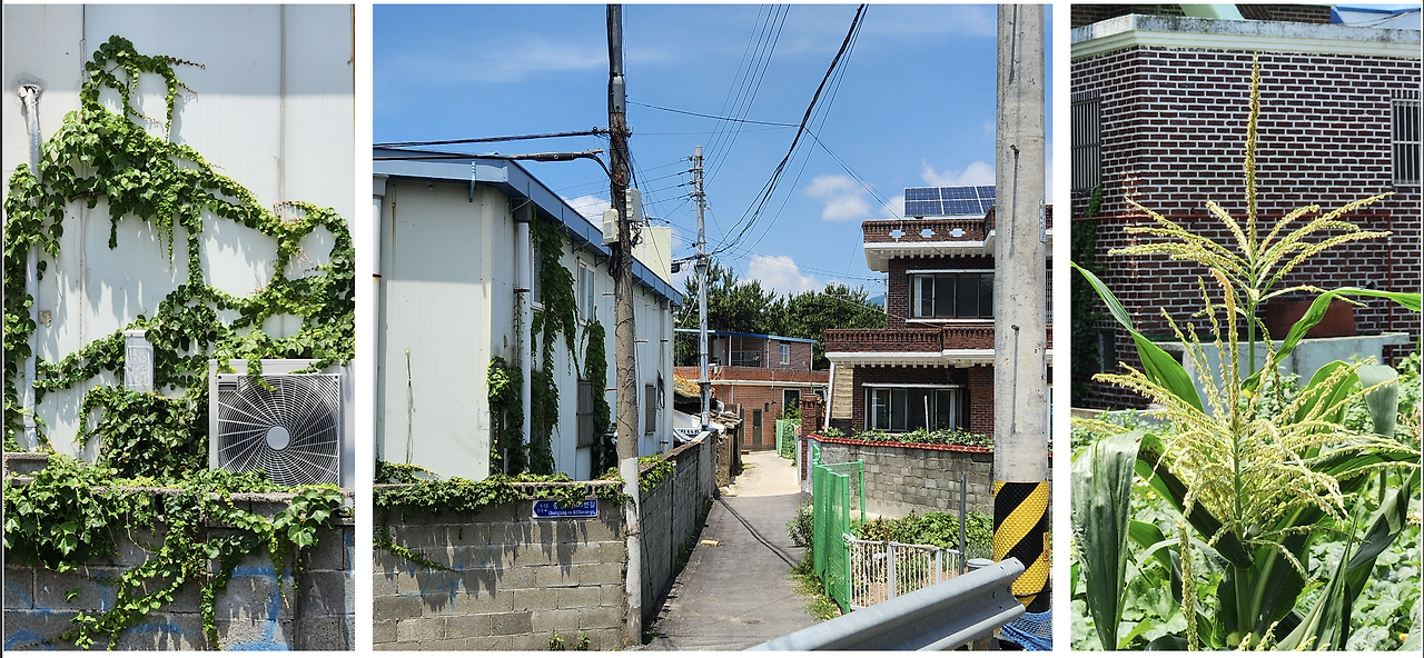 Screenshot 2024-06-28 at 12.31.53 PM.png