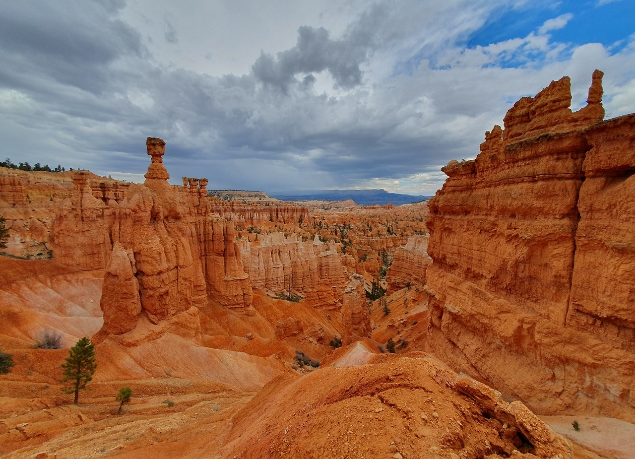 Screenshot 2023-05-31 154430.png