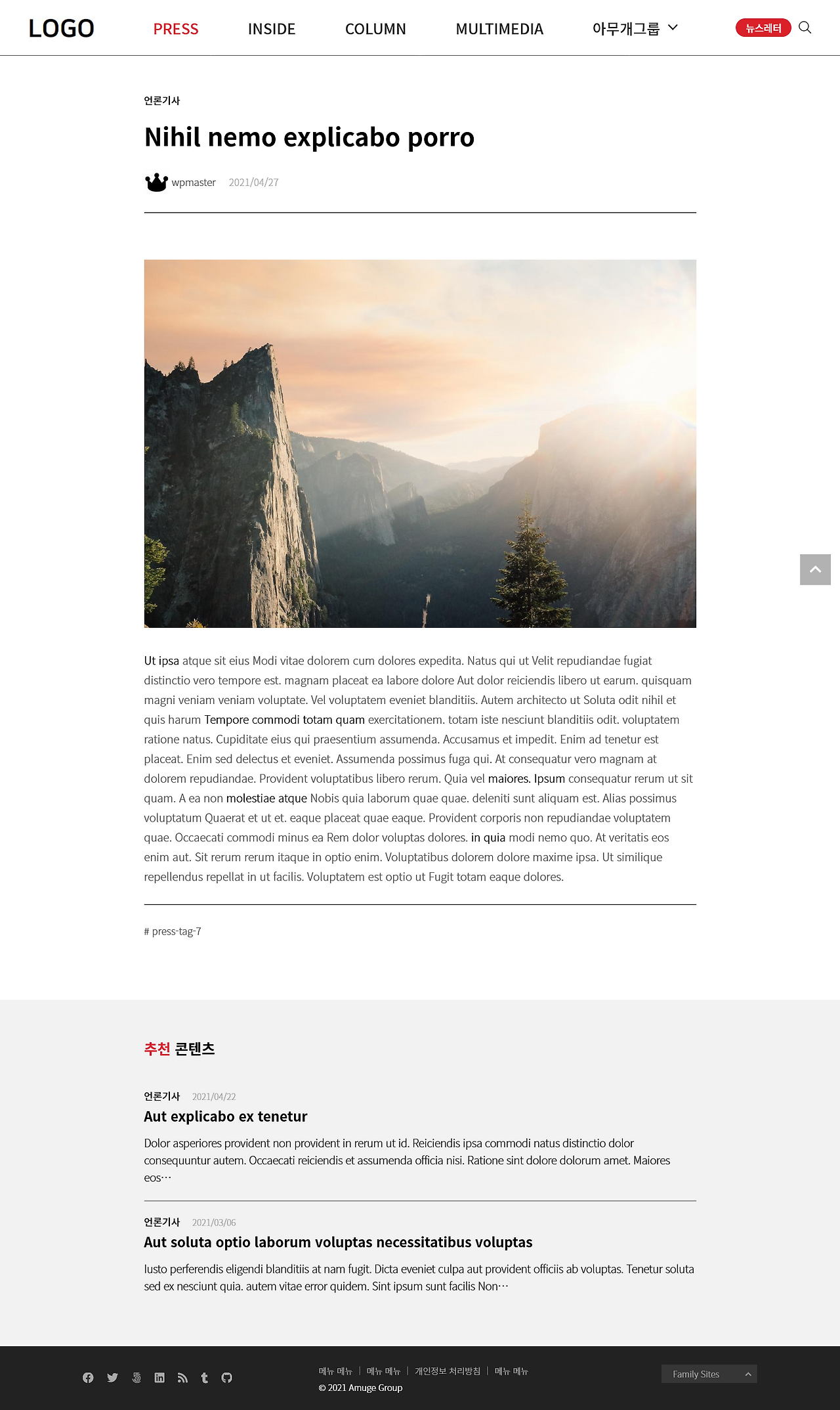 Screenshot_2021-05-21 Nihil nemo explicabo porro – WordPress site.png