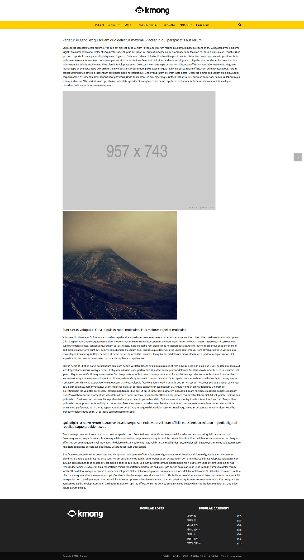 Screenshot_2020-12-12 Qui placeat et et omnis – 크몽 따라하기 (1).png