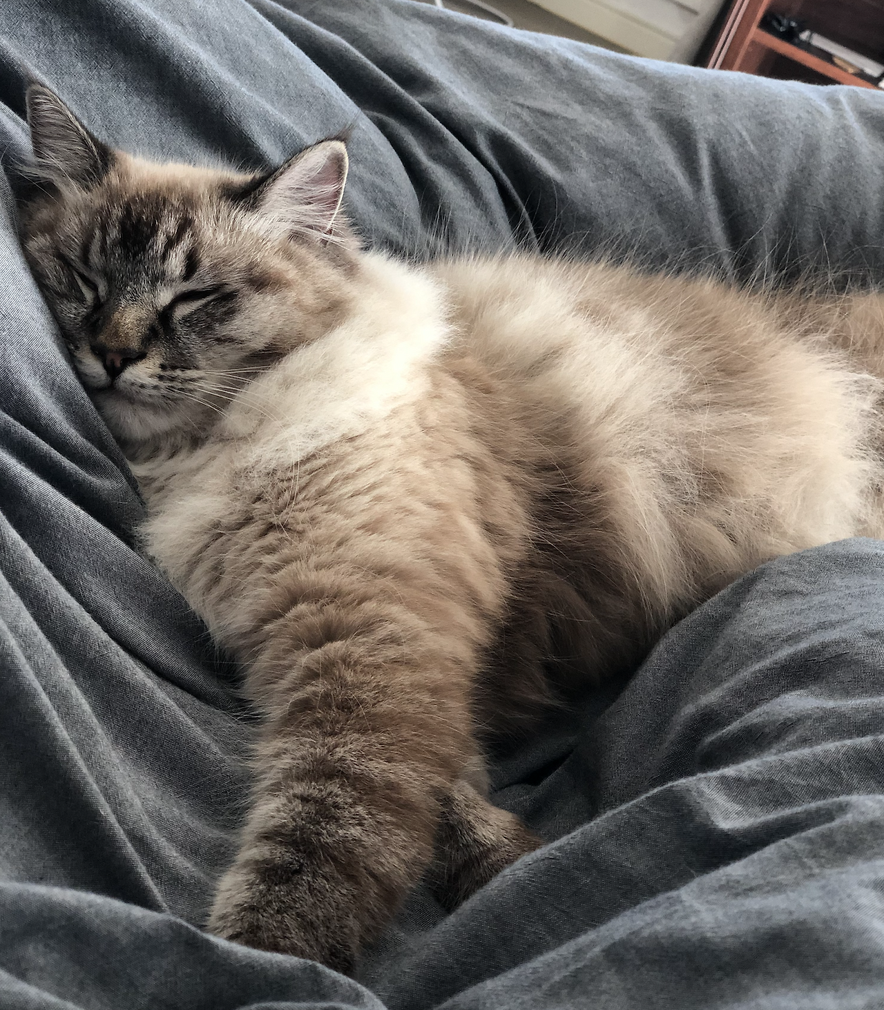 스크린샷 2019-03-07 오후 4.49.32.png