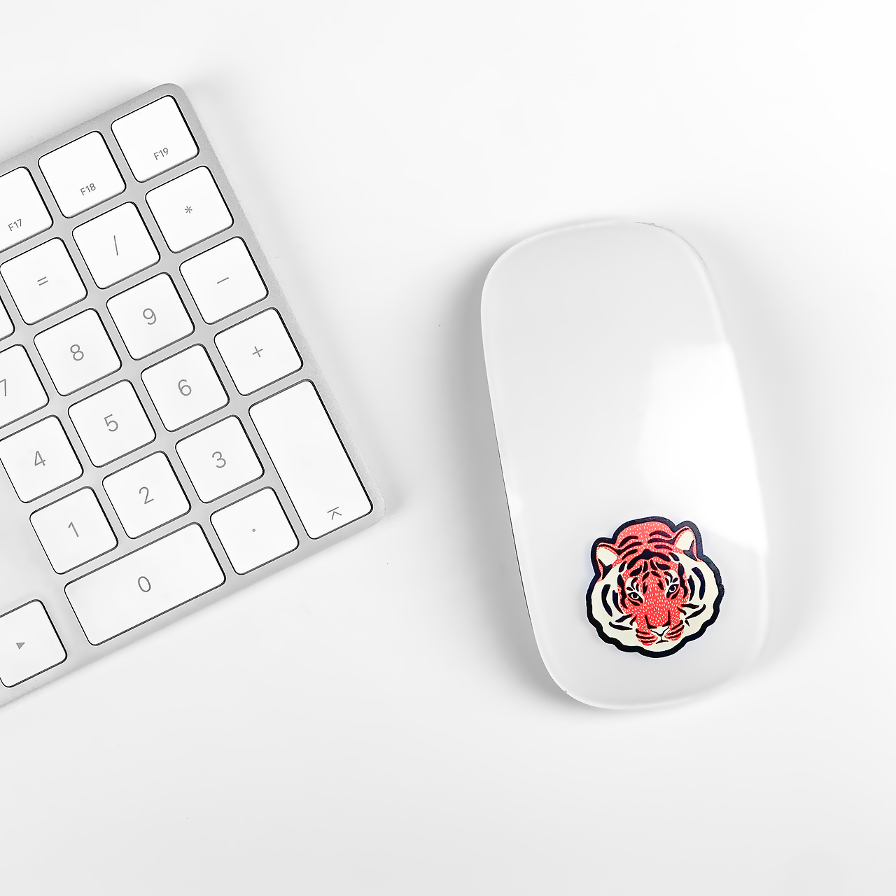 IMG_4325_0 copy_00.png