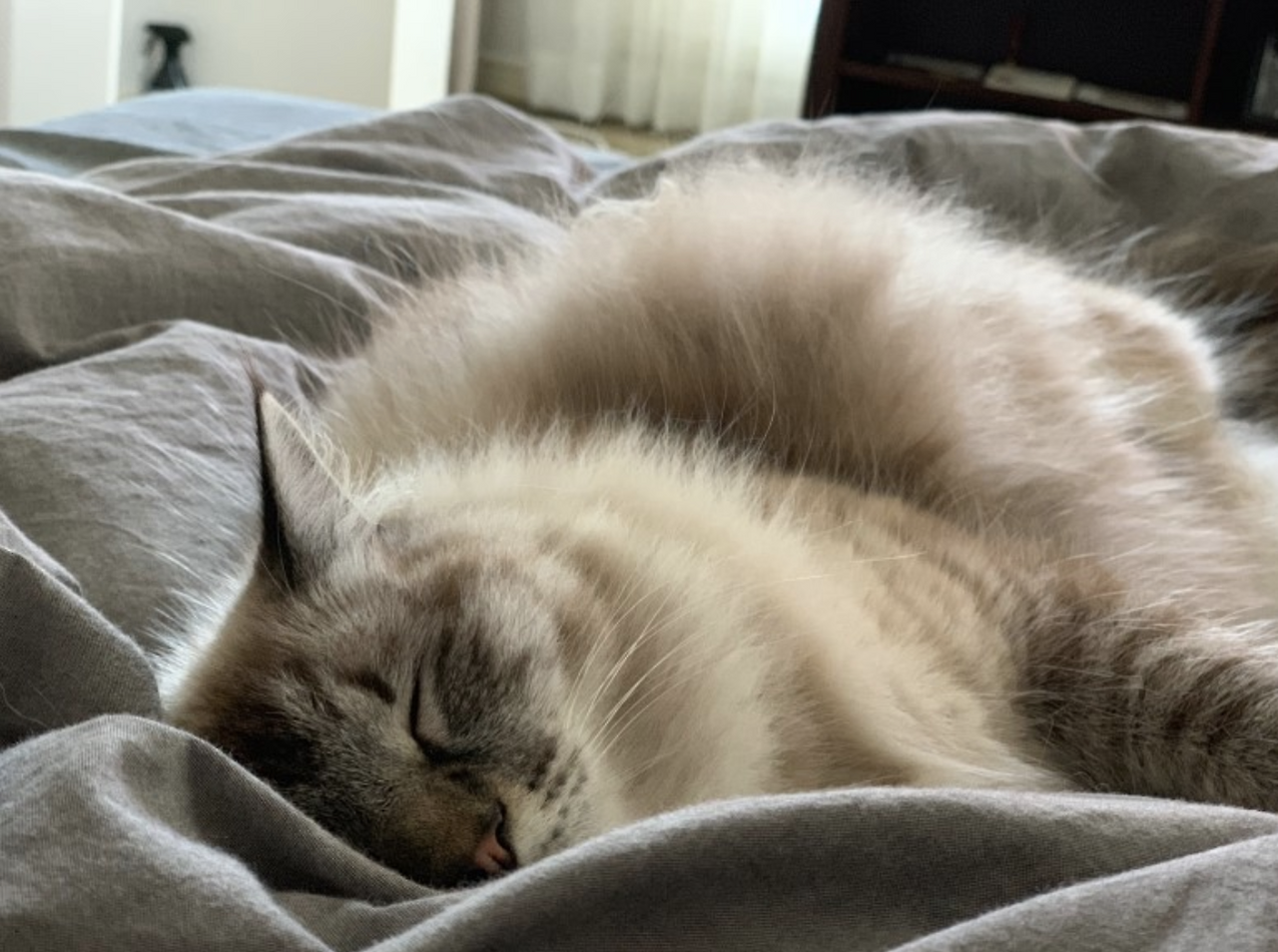 스크린샷 2019-01-30 오후 8.01.34.png