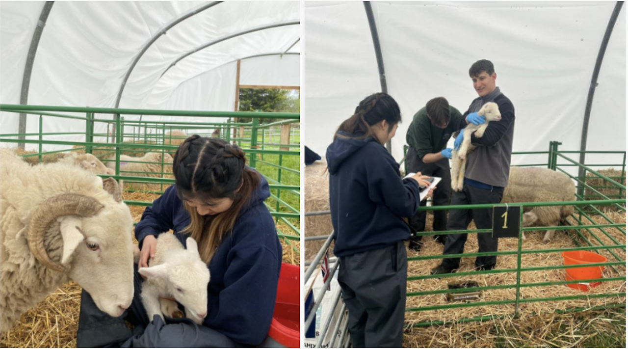 스크린샷 2025-01-01 17.02.51.png