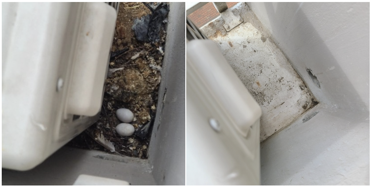 스크린샷 2023-05-08 오후 3.19.47.png