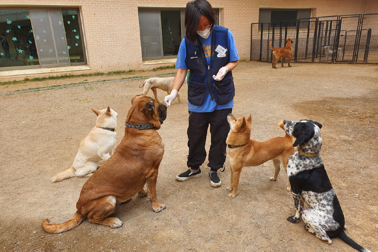 대지 1 사본.png