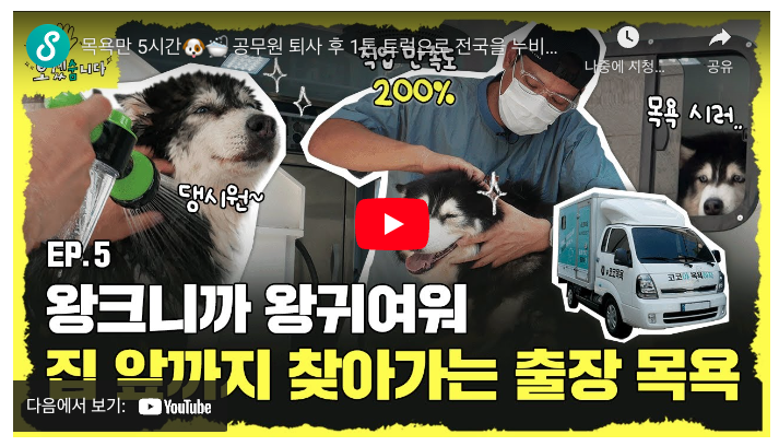 스크린샷 2023-08-28 오전 11.17.21.png