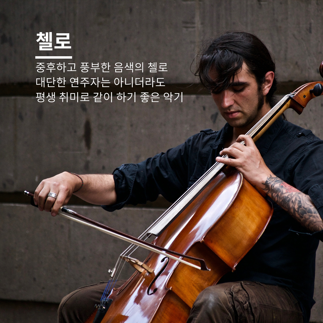 첼로_180117_carousel.png