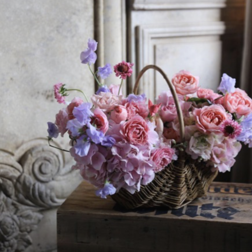 Image from iOS (1).png