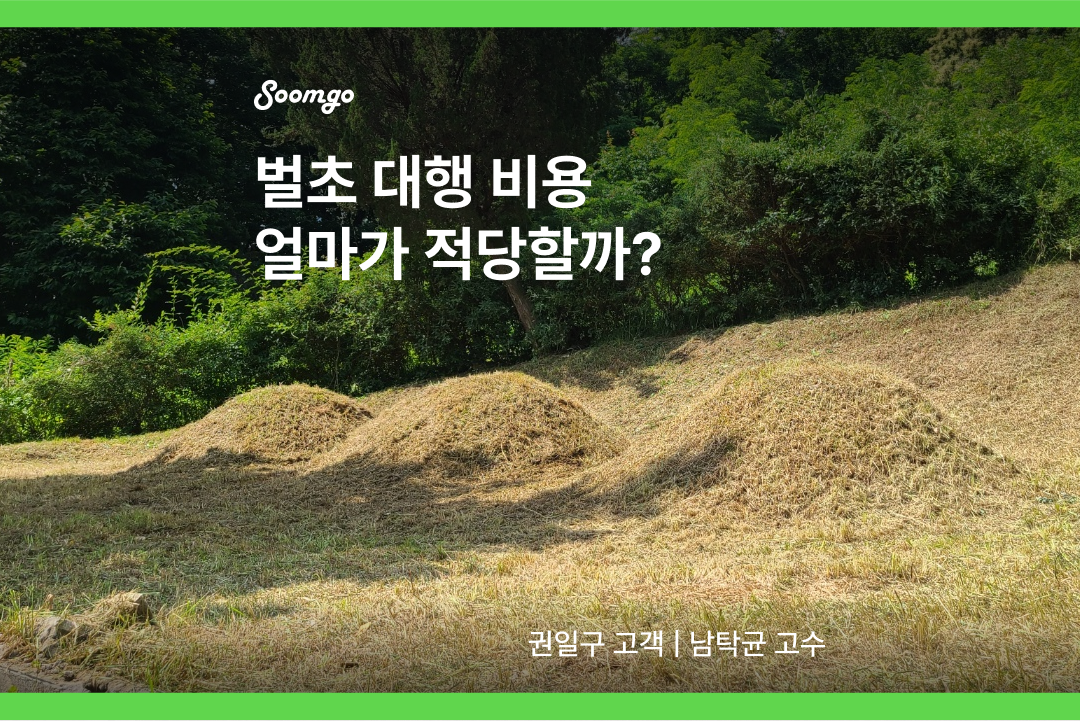 벌초 대행 비용_제목.png