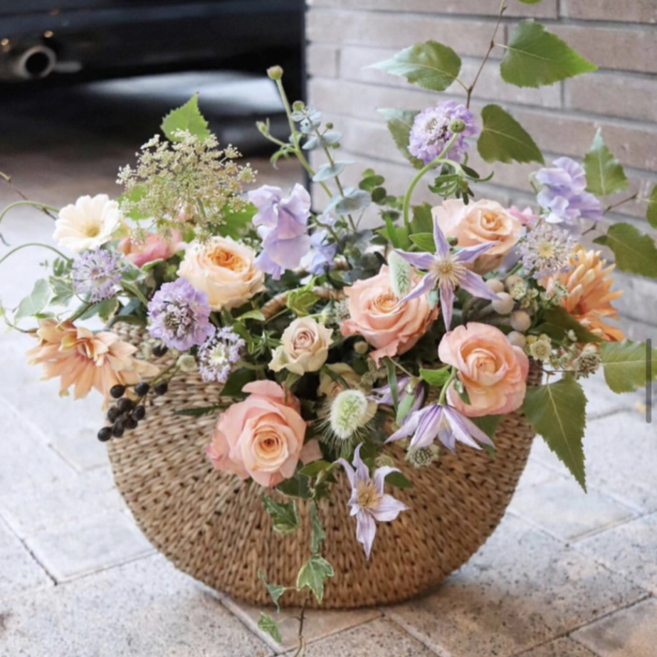 Image from iOS (3).png