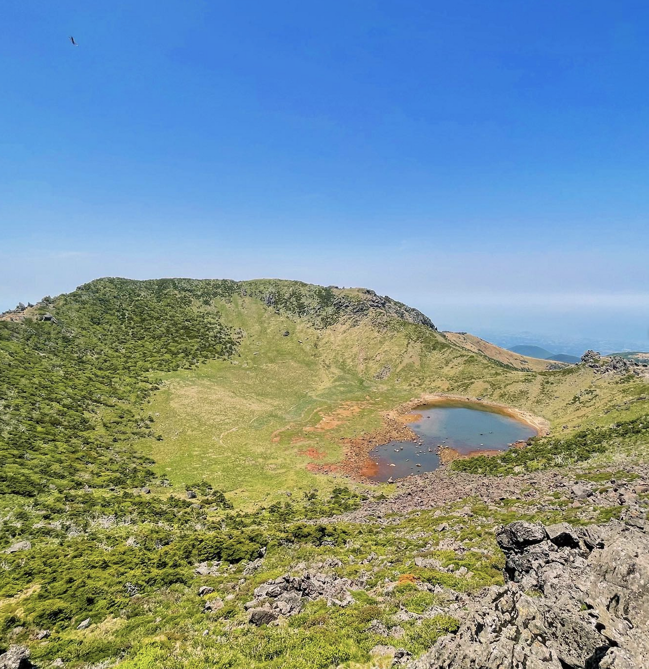 스크린샷 2022-01-12 오전 2.35.45.png