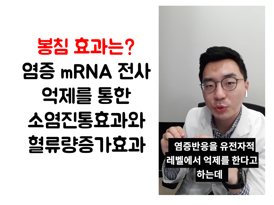 190123_133406 (봉침은 어떤 효과가 있나요. 그리고 부작용인지 맞으면 너무 뻐근해요 (1).png