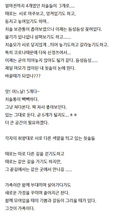 화면 캡처 2025-03-03 165124.png