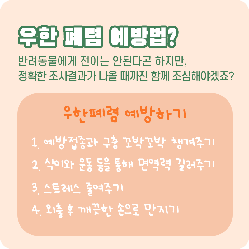 우한폐렴_08.png