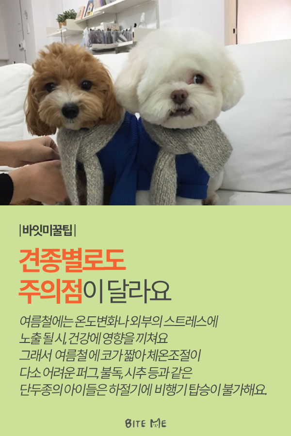 Artboard 1 copy 2.png