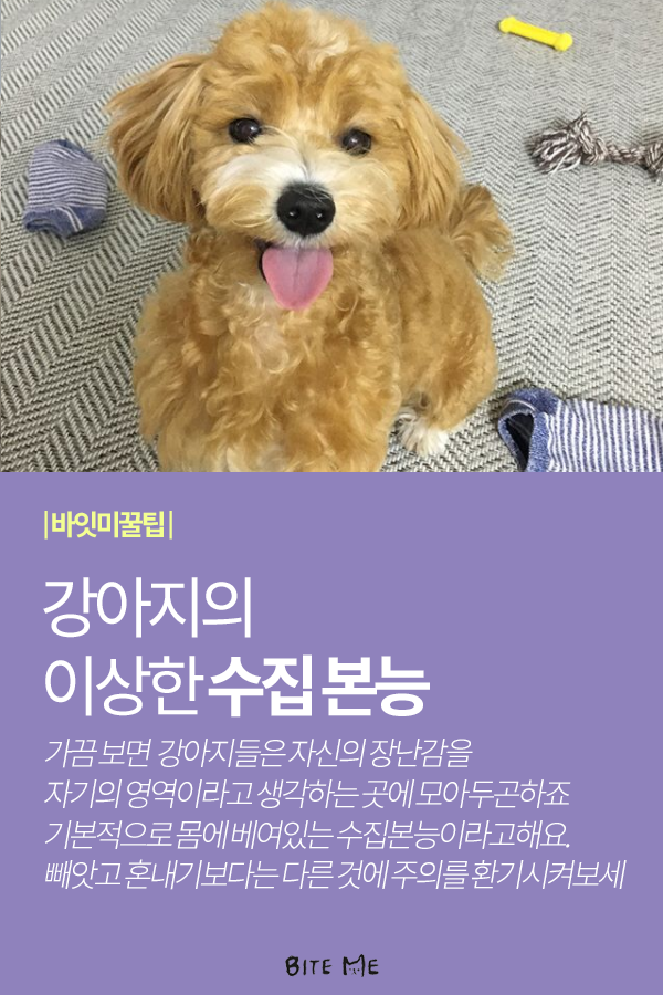 Artboard 1 copy 4.png