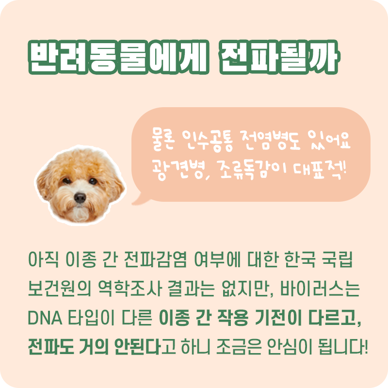 우한폐렴_07.png