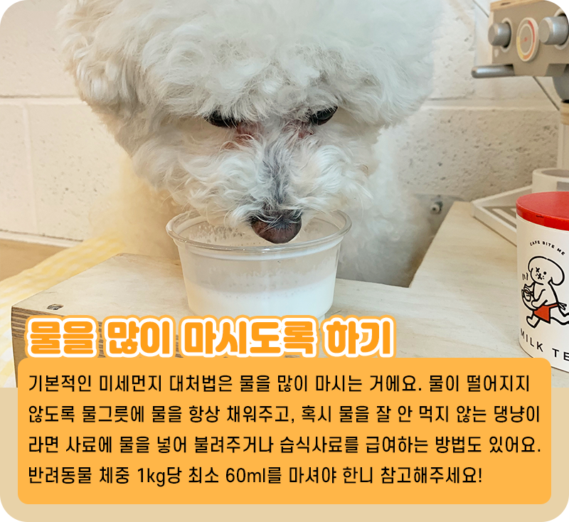 미세먼지 예방_04.png