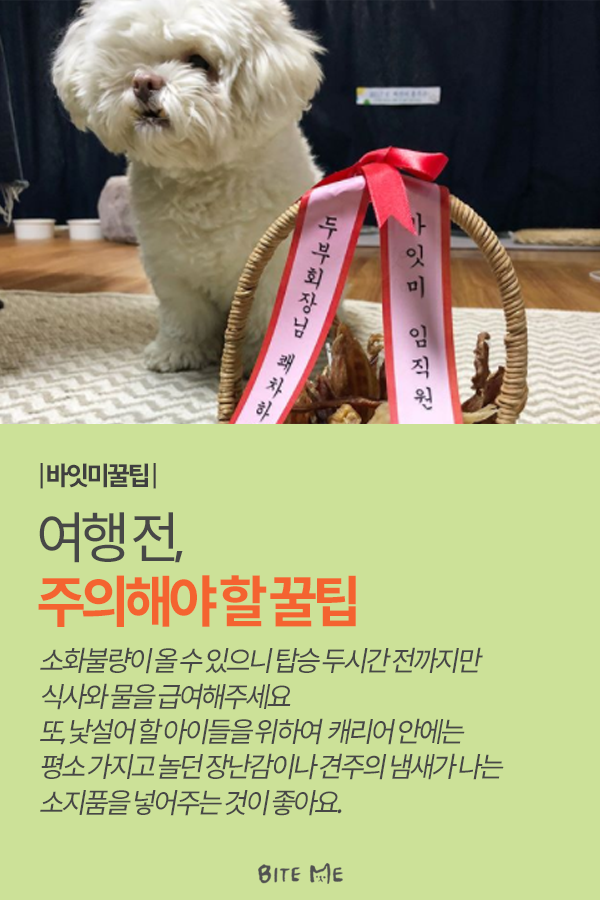 Artboard 1 copy 5.png