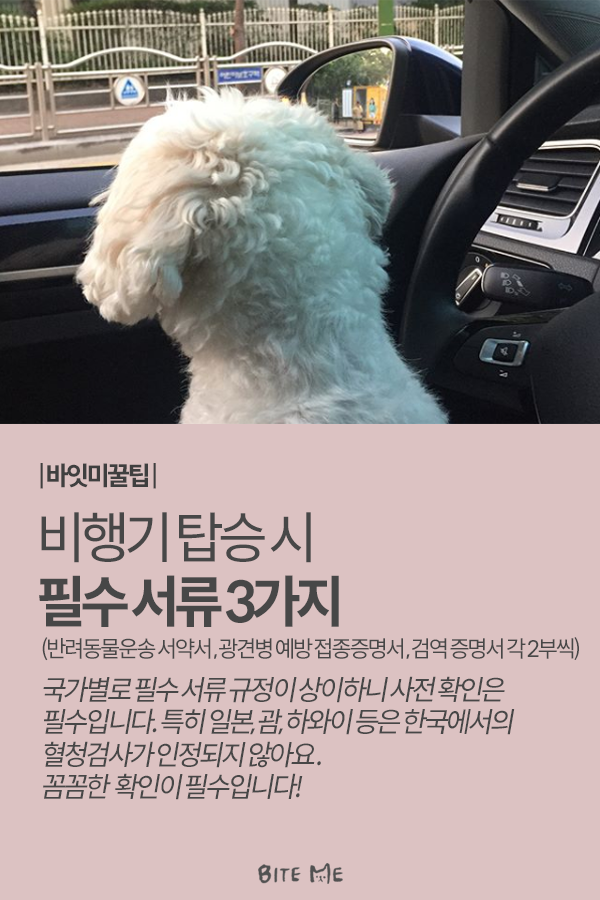 Artboard 1 copy 4.png