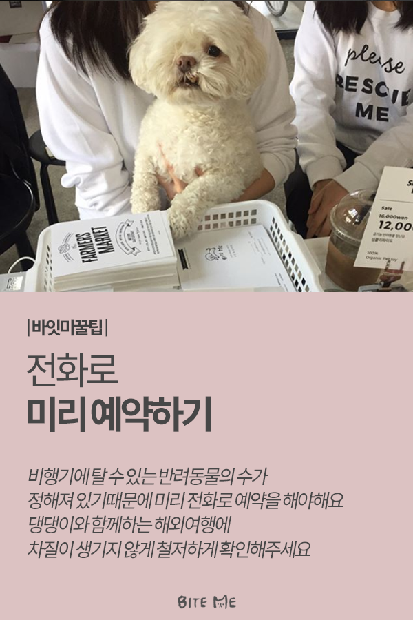 Artboard 1 copy 2.png