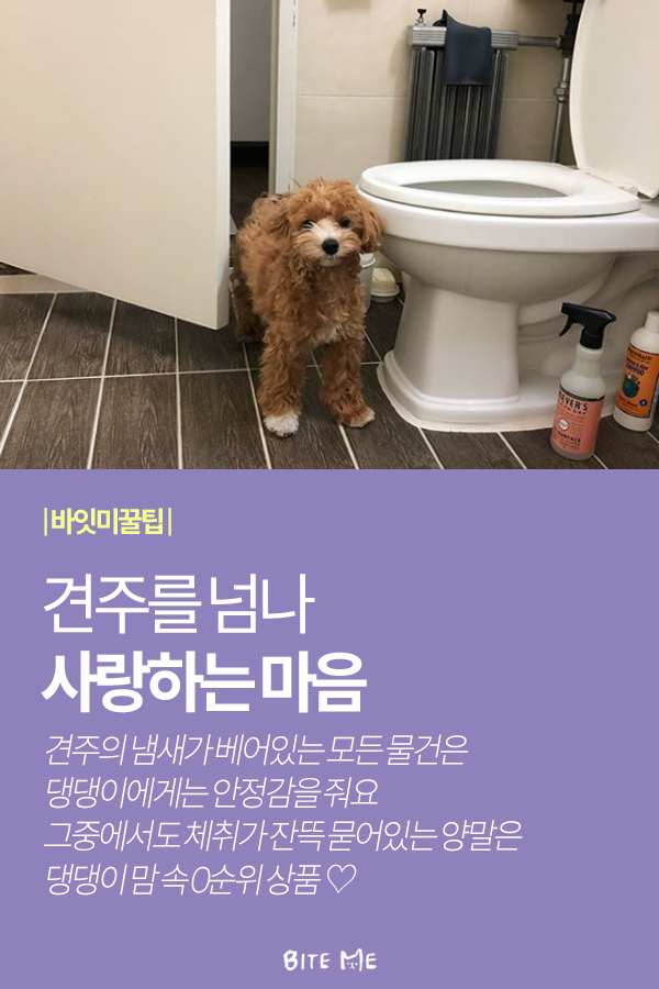 Artboard 1 copy 5.png