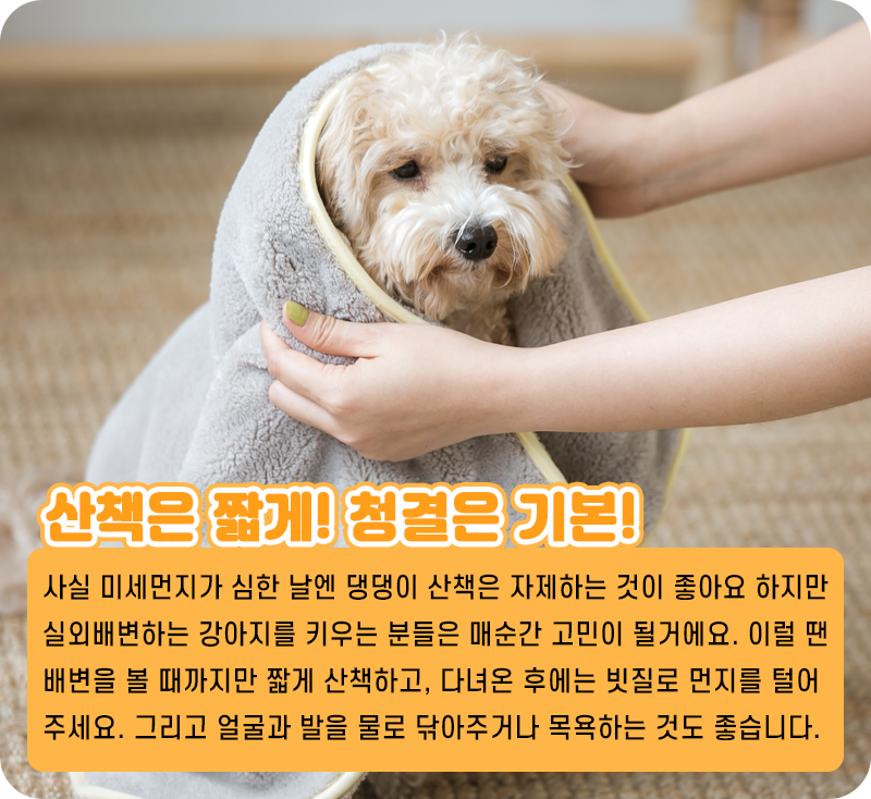 미세먼지 예방_03.png