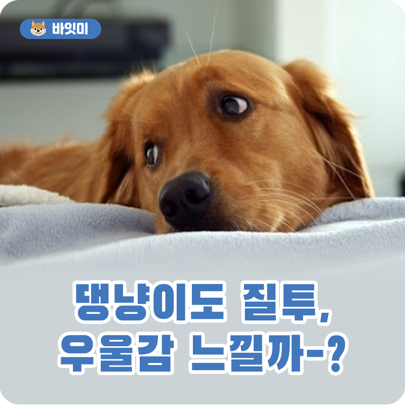 질투우울_01.png