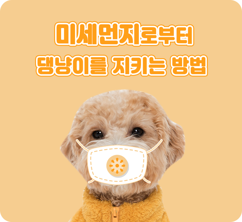 미세먼지 예방_01.png