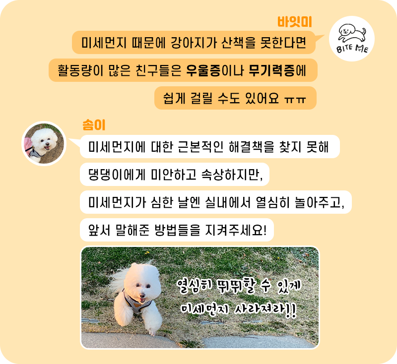 미세먼지 예방_08.png