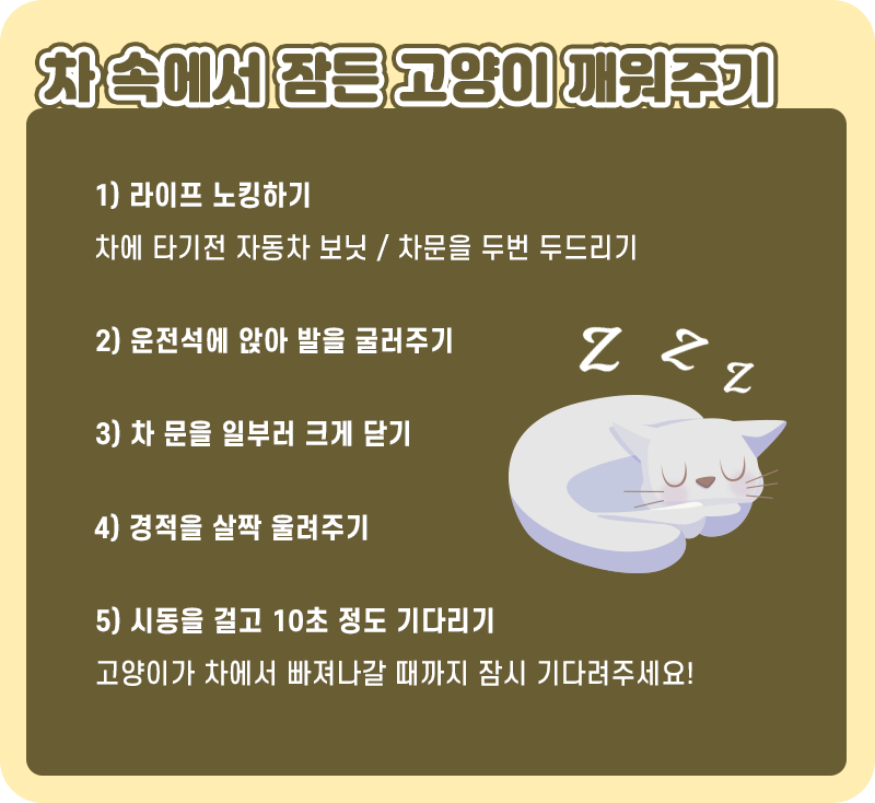 길냥이_09.png