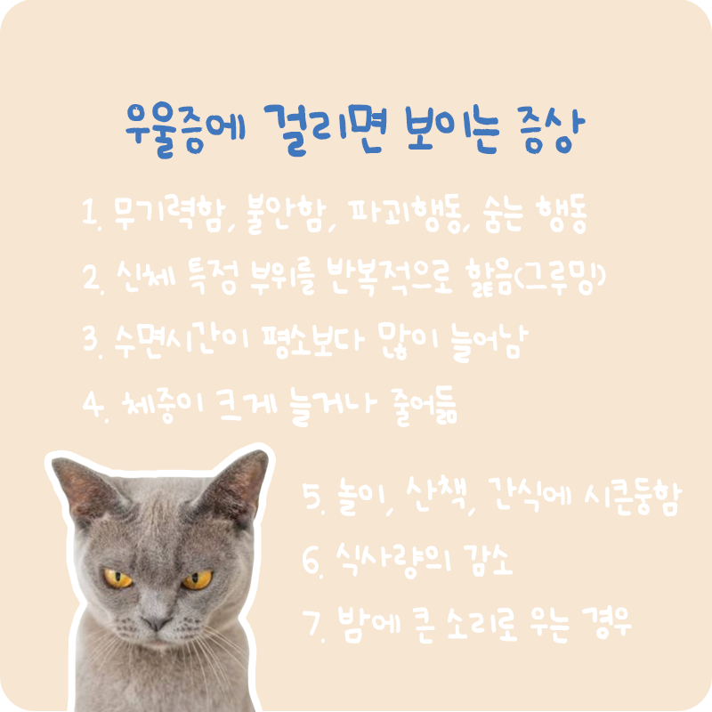 질투우울_09.png