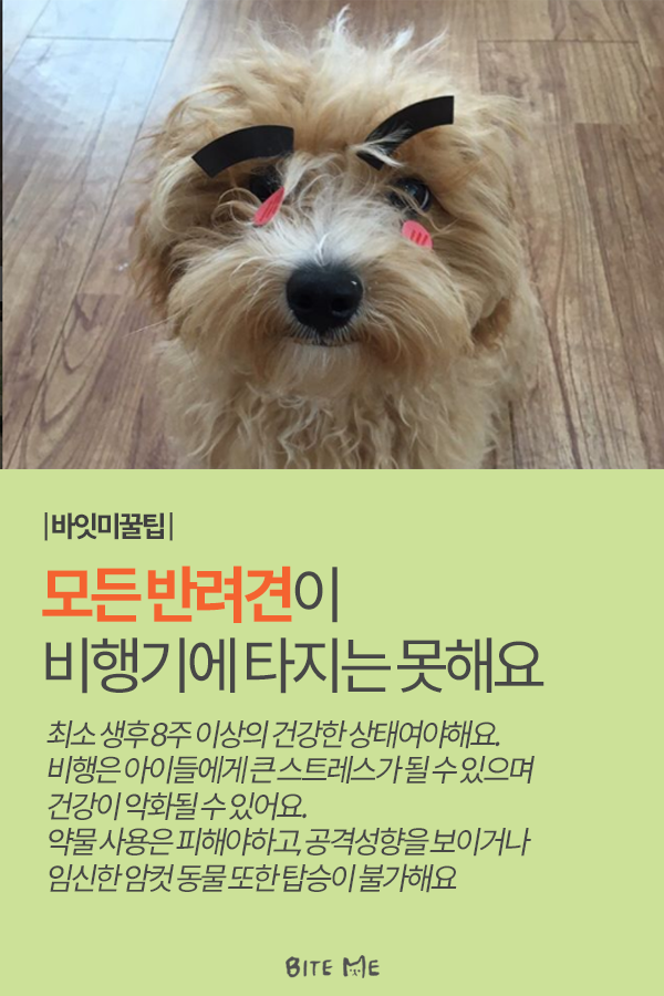 Artboard 1 copy 4.png