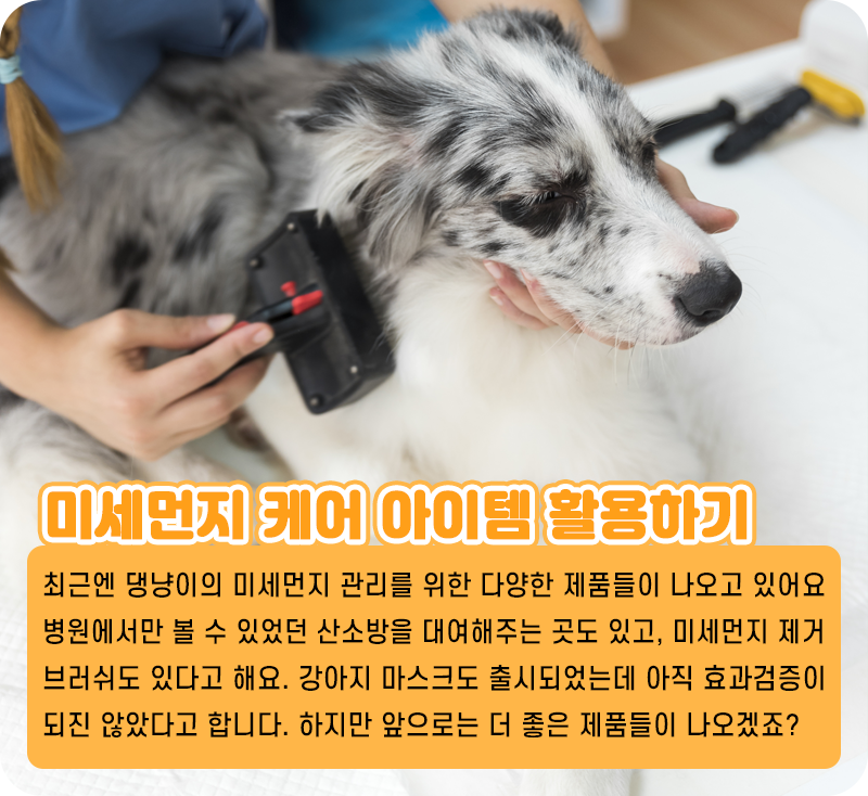 미세먼지 예방_07.png