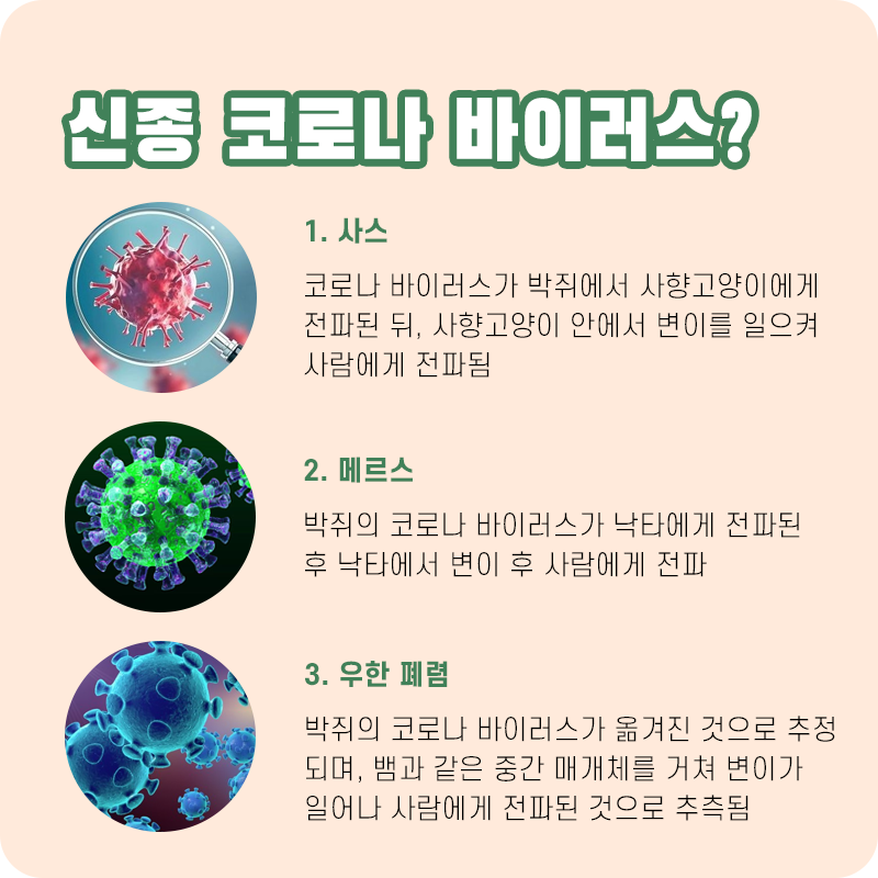 우한폐렴_05.png