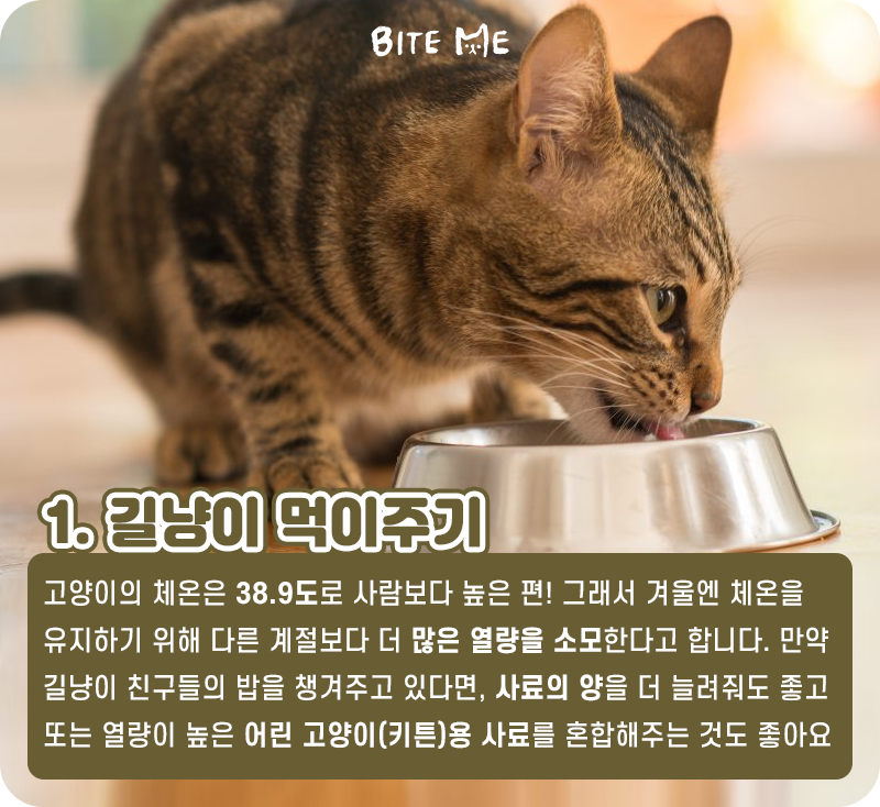 길냥이_03.png